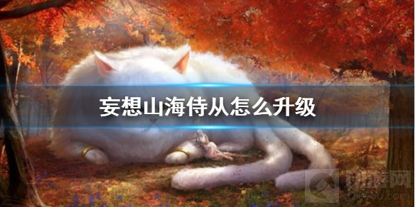 妄想山海侍从怎么升级 妄想山海侍从快速升级方法介绍