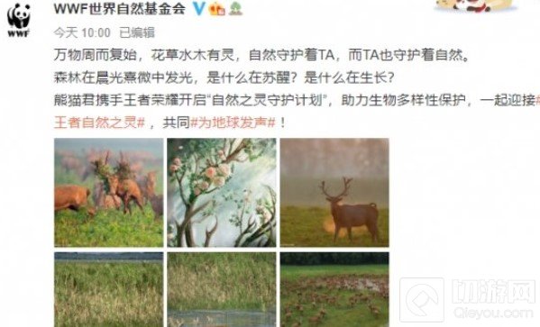 王者荣耀wwf联动皮肤是谁的 wwf联动皮肤上线时间角色介绍