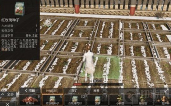 明日之后白色心语活动攻略 明日之后白色心语友好度怎么刷