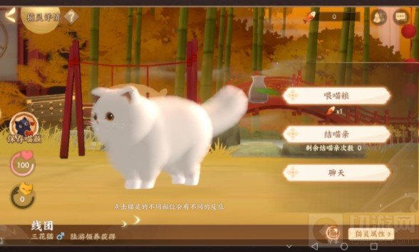 忘川风华录猫捏脸代码大全 忘川风华录猫外观捏脸码汇总