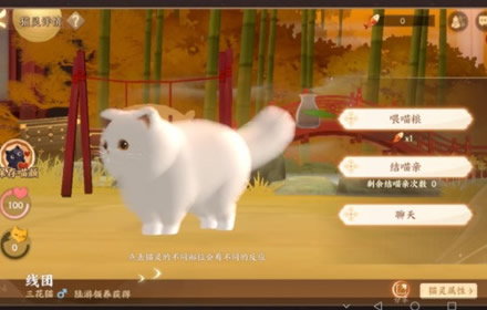 忘川风华录猫捏脸代码大全 忘川风华录猫外观捏脸码汇总