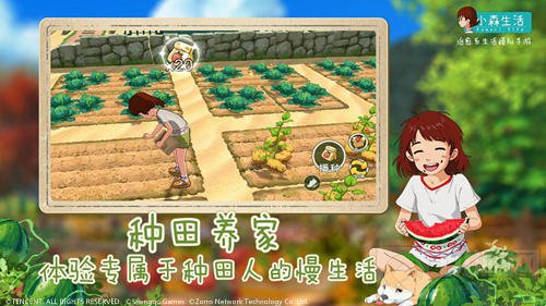 辣目洋子入驻 小森生活即将带你开启田园治愈新生活