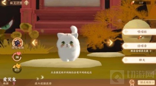 忘川风华录怎么结猫亲 猫咪结亲方法介绍猫咪养成攻略