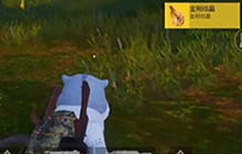 和平精英新版本道具怎么用 金刚结晶哥斯拉结晶用处介绍