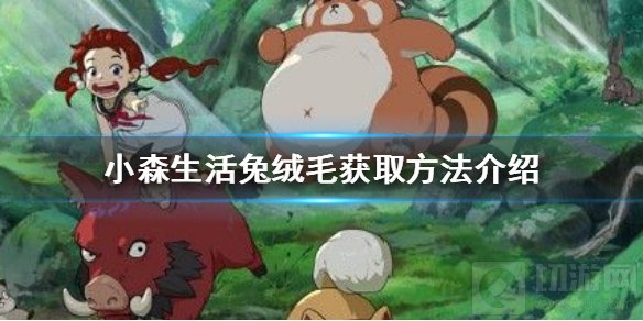小森生活兔绒毛在哪怎么获得 兔绒获取方法兔子刷新地点