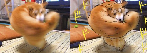 是萌宠还是猛宠 动物格斗游戏猛宠大作战凑想格斗狂想曲