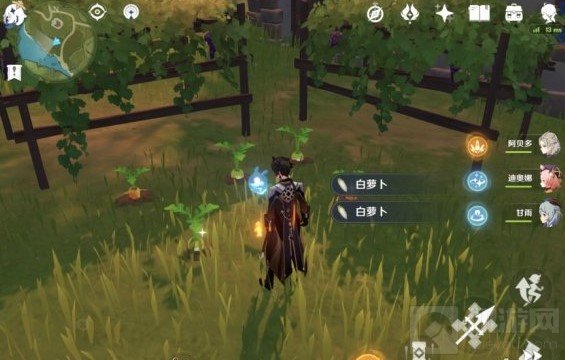 原神白萝卜在哪怎么获得 1.4百货奇货白萝卜位置介绍