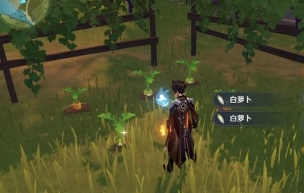 原神白萝卜在哪怎么获得 1.4百货奇货白萝卜位置介绍