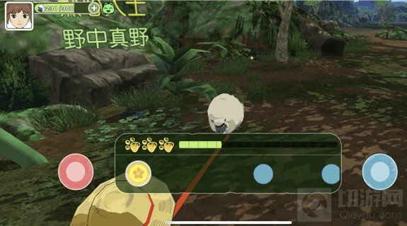 小森生活团角羊地图位置 小森生活团角羊抓捕方法介绍