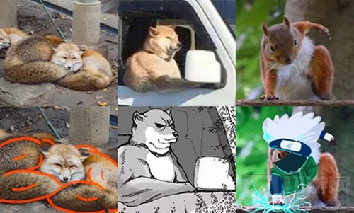 这款格斗有点皮 知名的动物表情包猛宠大作战多人共斗欢乐多