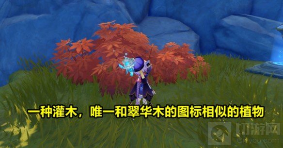 原神木材怎么获取 1.5版本松木却砂木垂香木桦木杉木位置