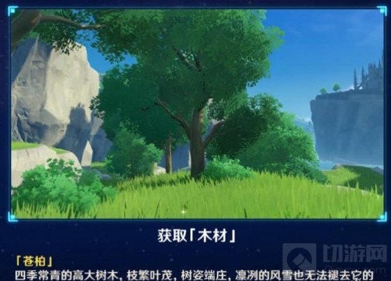 原神手游垂香木在哪 原神家园系统垂香木采集地点推荐