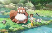 小森生活猫咪选美大赛银猫币怎么获得 猫咪银猫币获取方法