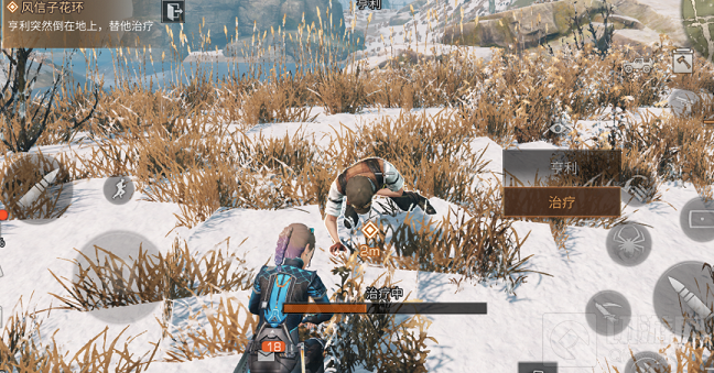 明日之后风信子花环任务怎么做 风信子花环任务流程攻略