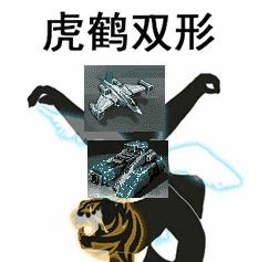 全球行动