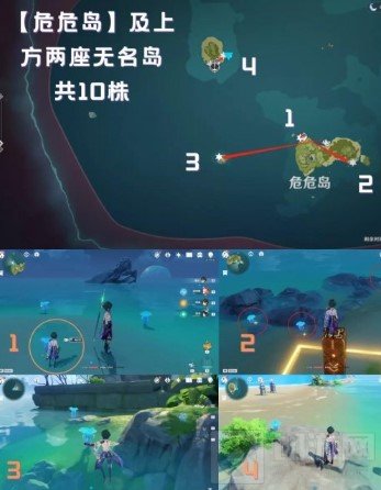 原神万叶突破材料要什么 海灵芝位置海岛海灵芝采集路线推荐