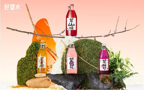 好望水Hopewater携旗下产品 确认参展2021ChinaJoyCAWAE