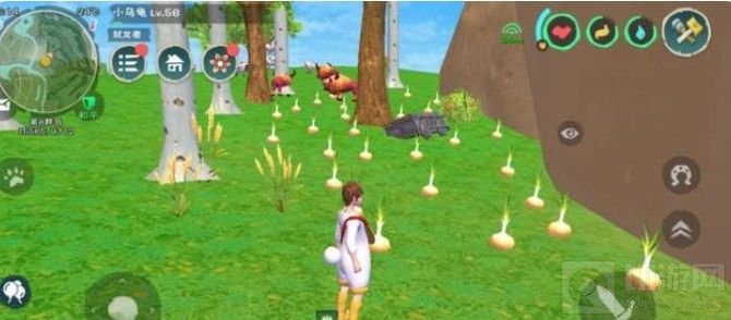 创造与魔法爆炒鱿鱼怎么做 爆炒鱿鱼食谱配方制作方法