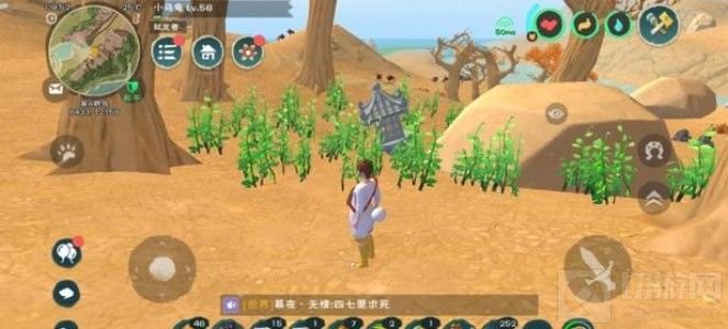 创造与魔法爆炒鱿鱼怎么做 爆炒鱿鱼食谱配方制作方法