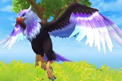 创造与魔法利刃云鹰饲料多少包保底 利刃云鹰饲料数量配方