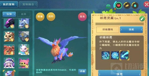 创造与魔法祈愿灵翼技能资质怎么样 祈愿灵翼属性介绍