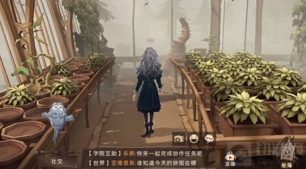 哈利波特魔法觉醒成熟的米布米宝拼图在哪 米布米宝碎片位置