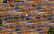 华夏人生红玫瑰怎么种植 华夏人生红玫瑰种植攻略教程玩法