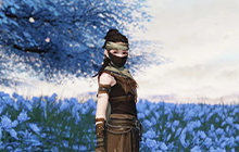 天涯明月刀手游心剑战境普通容素问怎么打 普通容素问打法