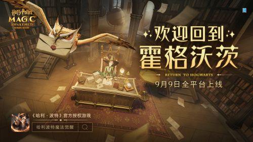 哈利波特魔法觉醒血统测试是什么 哈利波特血统测试怎么做