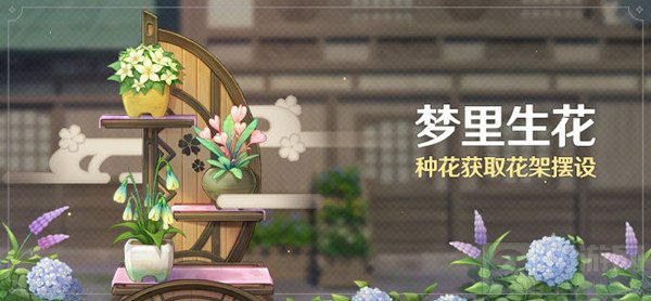 原神梦里生花活动怎么种花 梦里生花活动种花流程介绍攻略