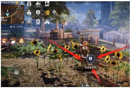 黑色沙漠洛基亚农场知识获得方法 怎么获得洛基亚农场知识