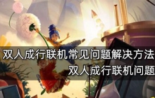 双人成行联机常见问题解决方法 双人成行联机问题大全