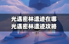 光遇密林遗迹在哪 光遇密林遗迹详细图片攻略