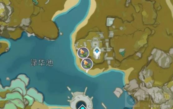 原神金鱼草获取方法及位置分布图 原神金鱼草在哪