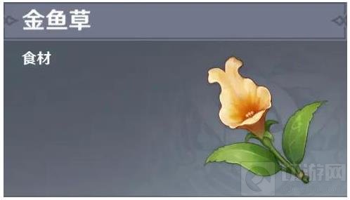 原神金鱼草获取方法及位置分布图 原神金鱼草在哪