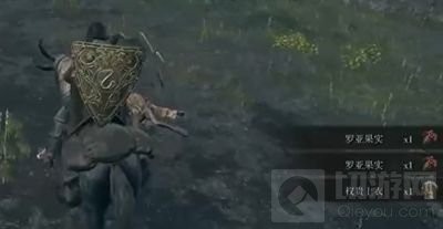 艾尔登法环权贵套装怎么获得 权贵套装怎么拿