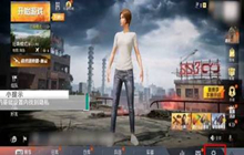 和平精英怎么隐藏历史战绩 隐藏历史战绩方法介绍