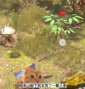 夺笋高手无价之宝获得方法 夺笋高手无价之宝怎么获取