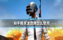和平精英龙息弹要怎么用 龙息弹激活使用方法