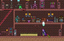 泰拉瑞亚幌菊种子获得与幌菊种植方法介绍