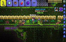 泰拉瑞亚快速获得奇异植物方法攻略一览