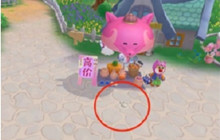 摩尔庄园5月脚印在哪 5月脚印位置分享