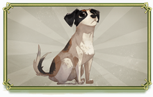 哈利波特魔法觉醒传说记忆瓶怎么用 觉醒传说记忆瓶使用攻略