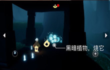 光遇5.20任务怎么完成 5.20任务攻略2022