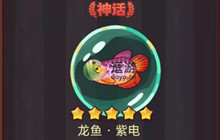 咸鱼之王鱼灵搭配阵容推荐 鱼灵搭配选择推荐