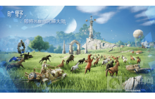 诺亚之心野马在哪里抓 野马分布图