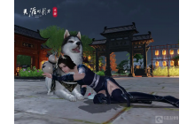 天涯明月刀手游丐帮狗子怎么样 丐帮狗狗介绍