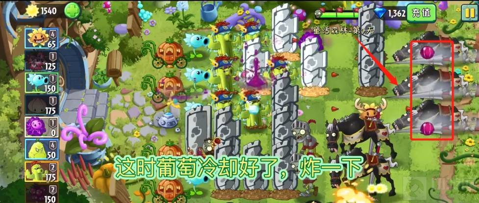 植物大战僵尸2童话森林第七关怎么过 第七关通关教学