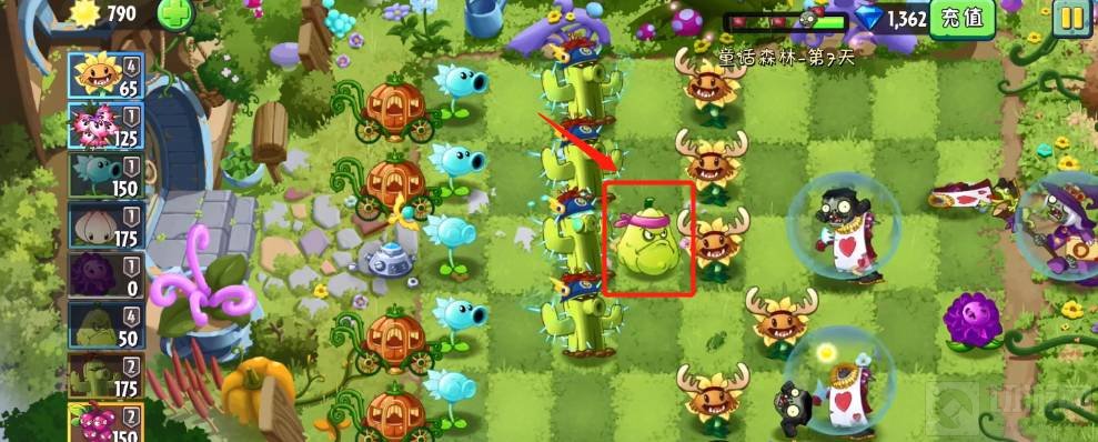 植物大战僵尸2童话森林第七关怎么过 第七关通关教学