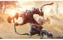 黑色沙漠手游泰比罗尔香烛如何获取 香烛获取方法